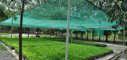 Nursery
